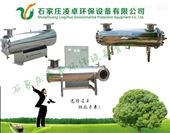 UV-LZC荆州生活饮用水紫外线消毒仪