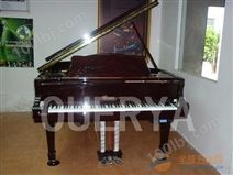 广东钢琴自动演奏系统