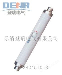 XRNT-35/50A高压熔断器