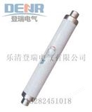 XRNT-35/50A高压熔断器