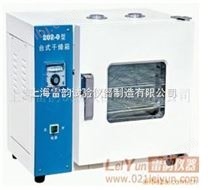 202-3A电热恒温干燥箱-雷韵展台-恒温干燥箱价格、实验室恒温设备