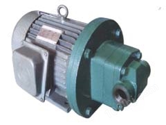 2CY型齿轮泵/齿轮泵KCB-1600