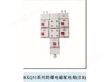 BXQ51系列防爆电磁配电箱（IIB）