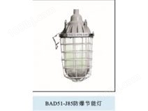 BAD51-J85隔爆型防爆节能灯